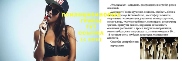 прущий лед Алексин