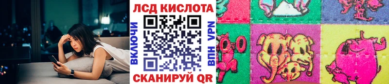 где купить наркоту  Дзержинский  kraken онион  Наркотические марки 1500мкг 
