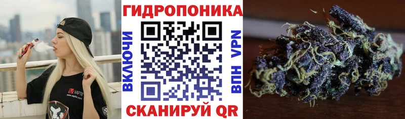купить наркотики цена Дзержинский Шишки марихуана SATIVA & INDICA